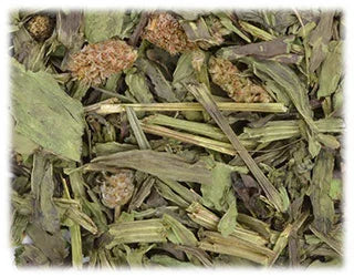 [サンコー] デリ･スタイル オオバコ 30g
