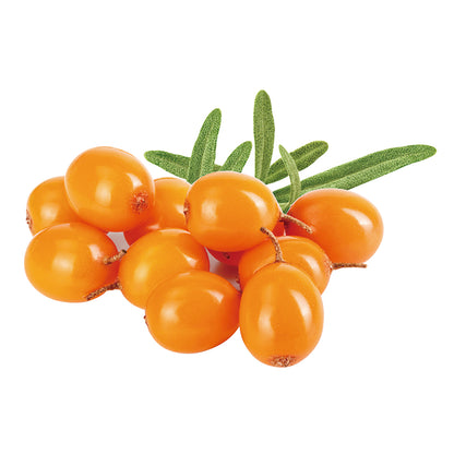 [サンコー] ベジドロップ サジー 50g